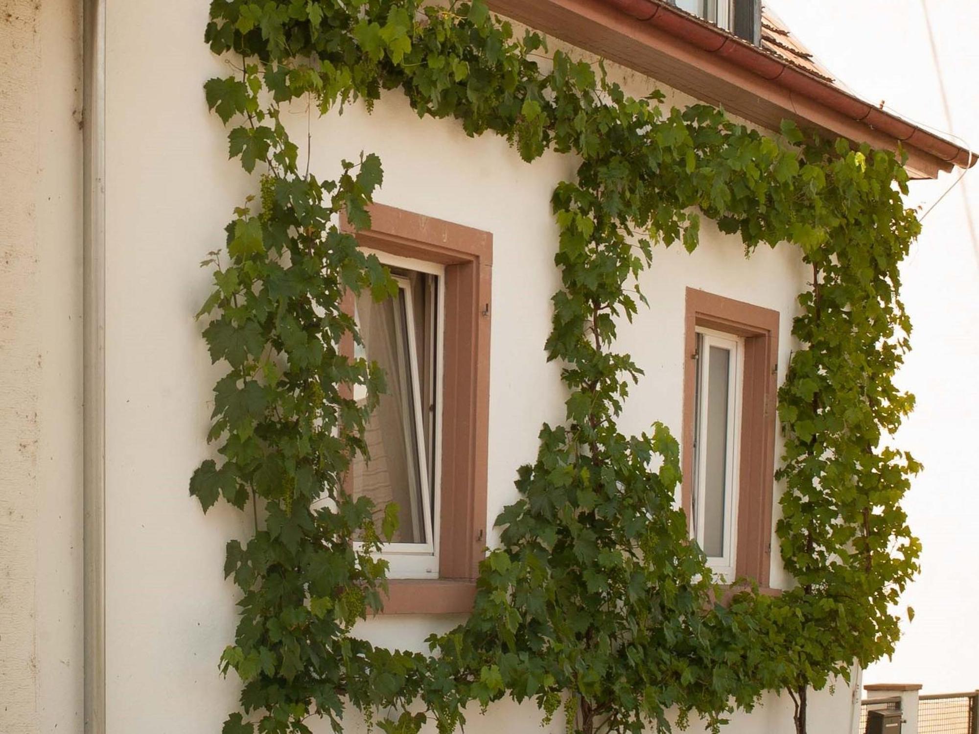 Ferienhaus Am Kuenstleratelier Riegel Buitenkant foto